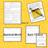 Algebraic Reasoning Guided Math Lesson Plans 3.4K 3.5A 3.5B 3.5E 3.6D 3.8B - Image 11